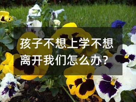 孩子不想上学不想离开我们怎么办?