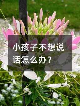 小孩子不想说话怎么办?